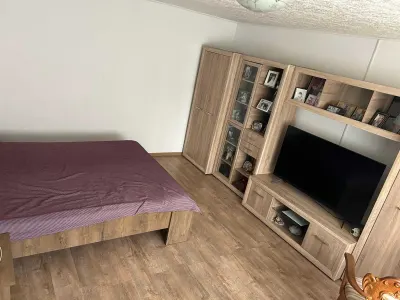 Casă 3 camere Satu Mare - poza 3