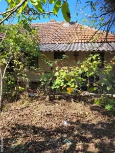 BRASADAS vinde casa in Moftinul Mare. - Moftinu Mare