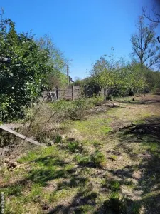 Casă 2 camere Moftinu Mare - poza 3