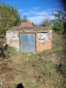 Casă 2 camere Moftinu Mare - poza 4