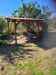 Casă 2 camere Moftinu Mare - poza 6