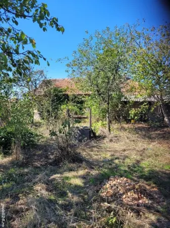 Casă 2 camere Moftinu Mare - poza 8