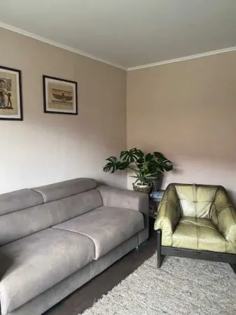 Casă 4 camere Satu Mare - poza 8