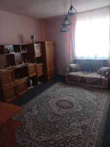 Casă 3 camere Vetis - poza 4