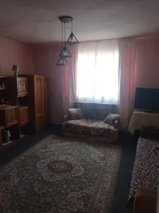 Casă 3 camere Vetis - poza 8