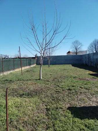Casă 4 camere Satu Mare - poza 8