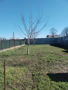 Casă 4 camere Satu Mare - poza 8
