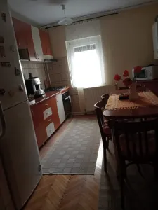 BRASADAS vinde ap 3 cam decomandat, la parter in Micro 16. - Satu Mare