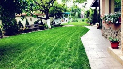 Casă 5 camere Satu Mare - poza 3