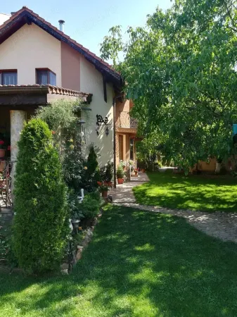 Casă 5 camere Satu Mare - poza 9