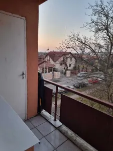 Apartament 3 camere Satu Mare - poza 3