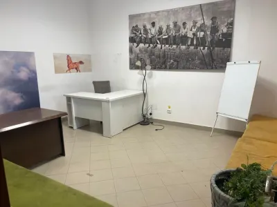 Apartament 4 camere Satu Mare - poza 4
