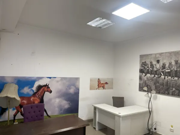 Apartament 4 camere Satu Mare - poza 8