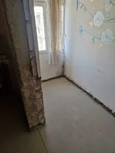 Apartament 3 camere Satu Mare - poza 5