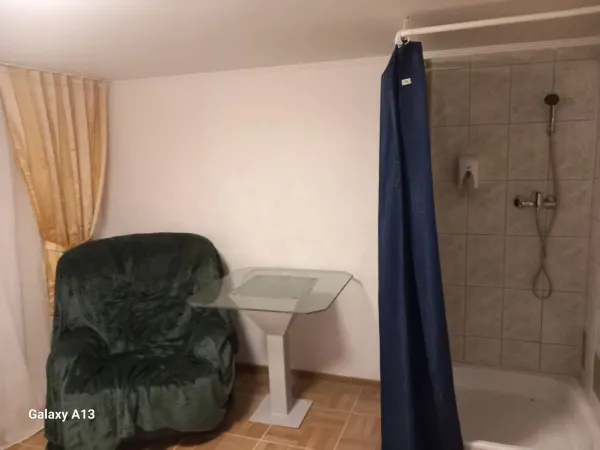 Casă 30 camere București - poza 9
