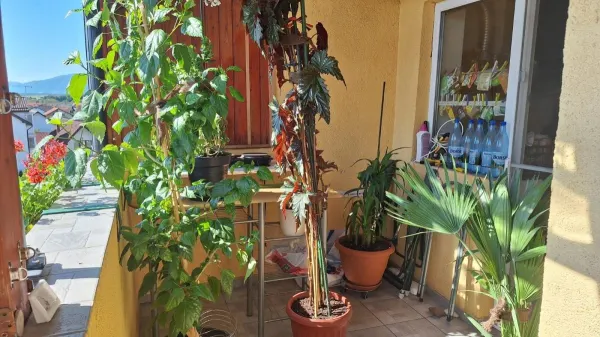 Apartament 2 camere Șelimbăr - poza 9