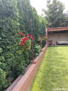 Casă Iași - poza 3