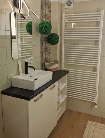 Spațiu comercial Iași - poza 2