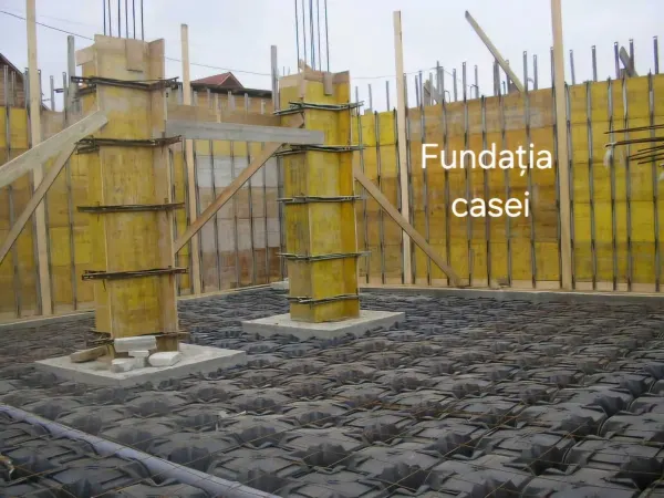 Casă 4 camere Iași - poza 8
