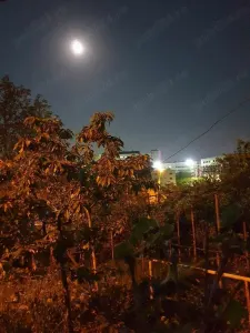 Casă Iași - poza 3