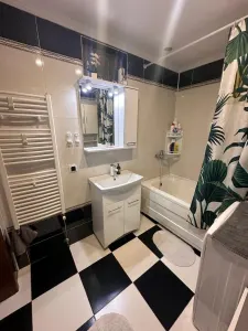 Apartament 3 camere Miroslava - poza 6