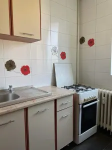 Garsonieră București - poza 2