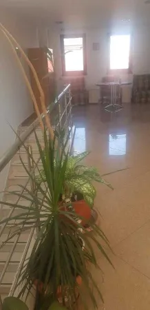 Casă 4 camere București - poza 5