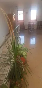 Casă 4 camere București - poza 5