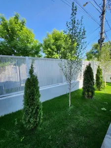 Casă București - poza 3