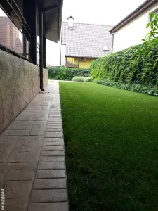 Casă București - poza 3
