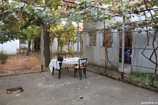Casă București - poza 4
