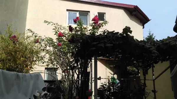 Casă 10 camere București - poza 3