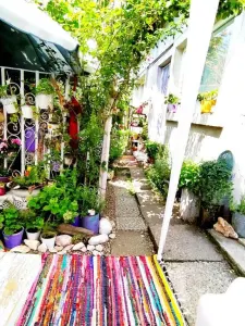 Casă 3 camere București - poza 4