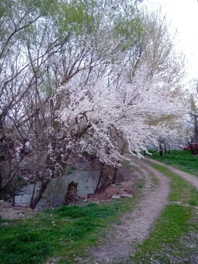 Casă București - poza 1