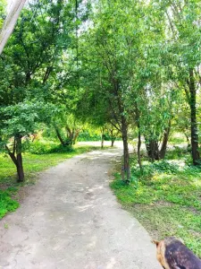 Casă București - poza 3