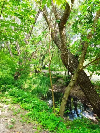 Casă București - poza 7