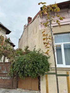 Casă București - poza 3
