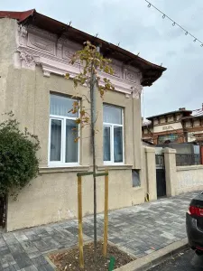 Casă București - poza 10