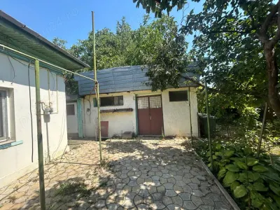 Casă București - poza 5