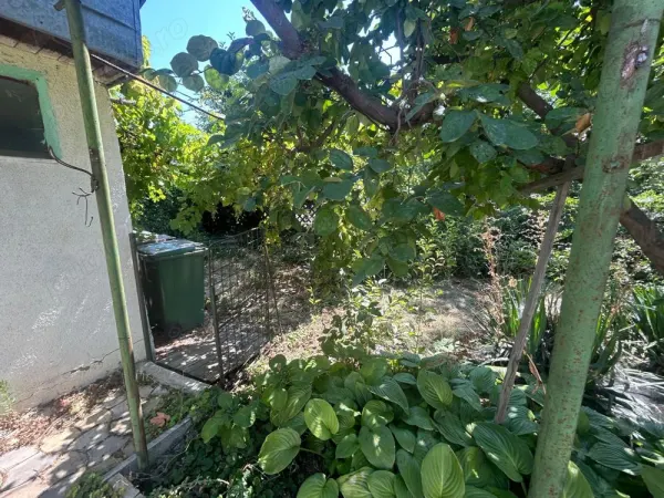 Casă București - poza 8