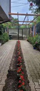 Apartament 3 camere București - poza 6