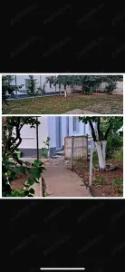 Casă București - poza 9