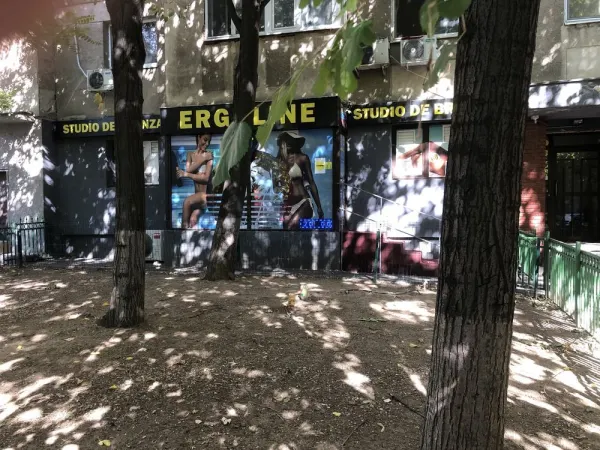 Birou București - poza 6