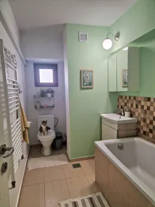 Apartament 3 camere Iași - poza 7