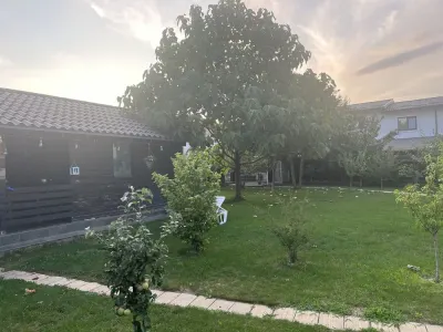 Casă 4 camere Valea Lupului - poza 7