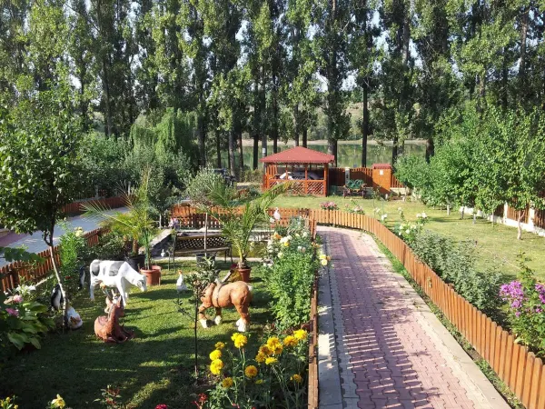 Casă 4 camere Valea Adâncă - poza 4