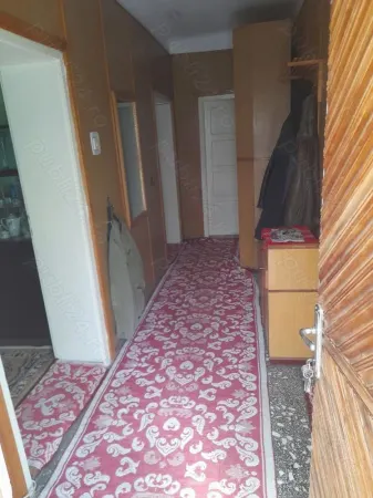 Casă 4 camere Satu Mare - poza 3