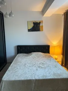 Casă 4 camere București - poza 5