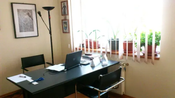 Casă 12 camere București - poza 12