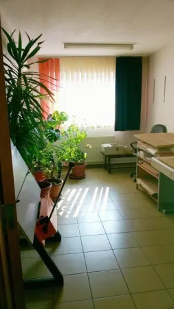 Casă 12 camere București - poza 13